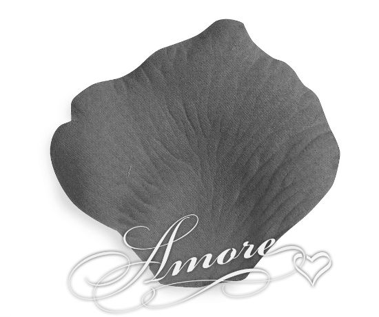 Picture of Silk Rose Petals Dove Grey