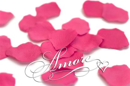 Picture of Silk Rose Petals Watermelon-Fuchsia